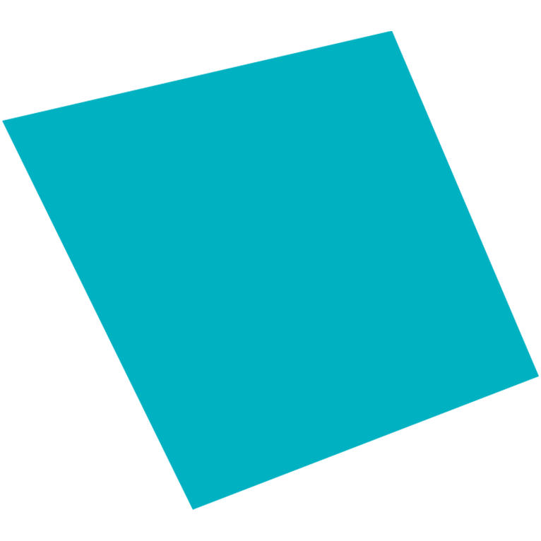 Shape-2v2